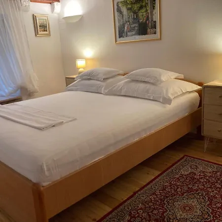 Vicelic 1 Guest house *